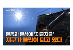 [영상] '불판'으로 변한 지구…40℃ 폭염이 일상화 되려나
