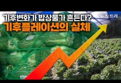 [영상]기후변화가 '밥상물가' 흔든다?...기후플레이션의 실체